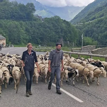 Soupiets Alojamento de Acomodação e Pequeno-almoço Betpouey